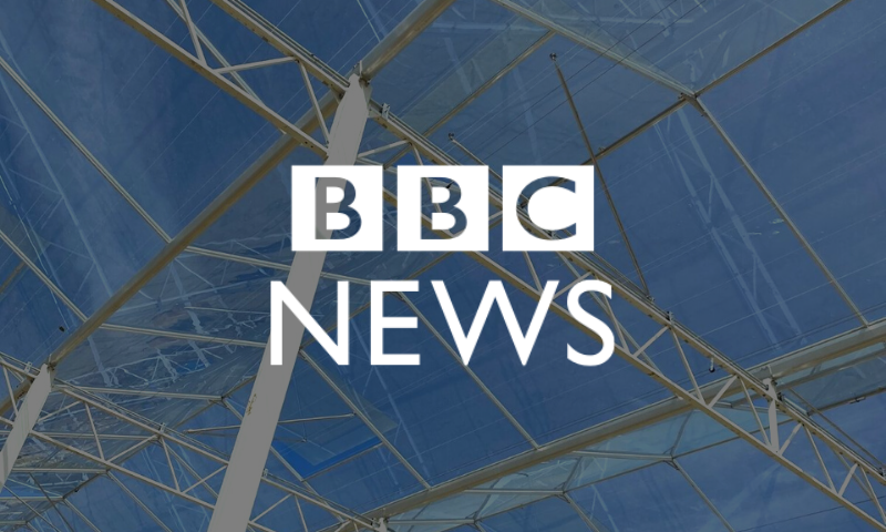 BBC click visit our greenhouses in Bury St Edmunds