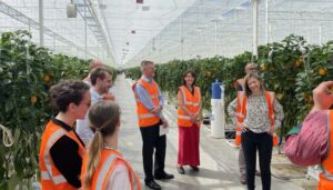 Ministerial visit to Low Carbon Farming greenhouse
