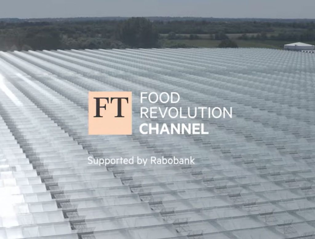 Financial Times article preview image