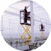 Workers in the LCF Greenhouse