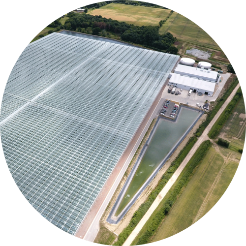 Aerial view of the Bury St Edmunds expansive greenhouse