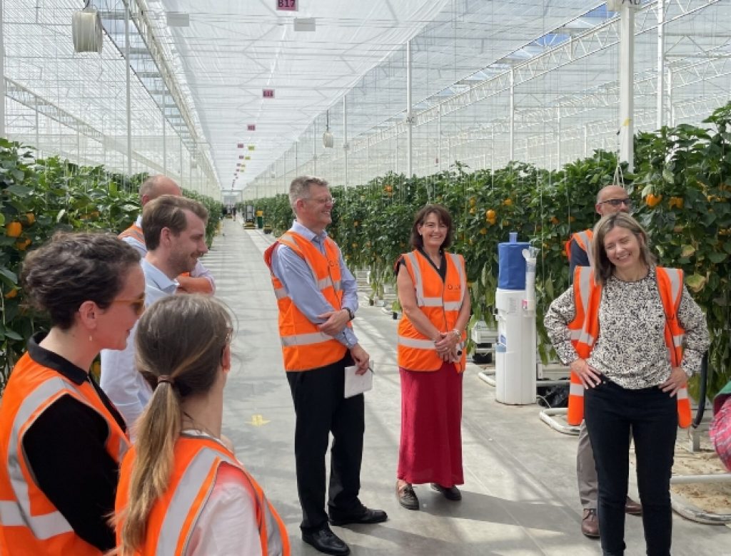 Ministerial visit to Low Carbon Farming greenhouse