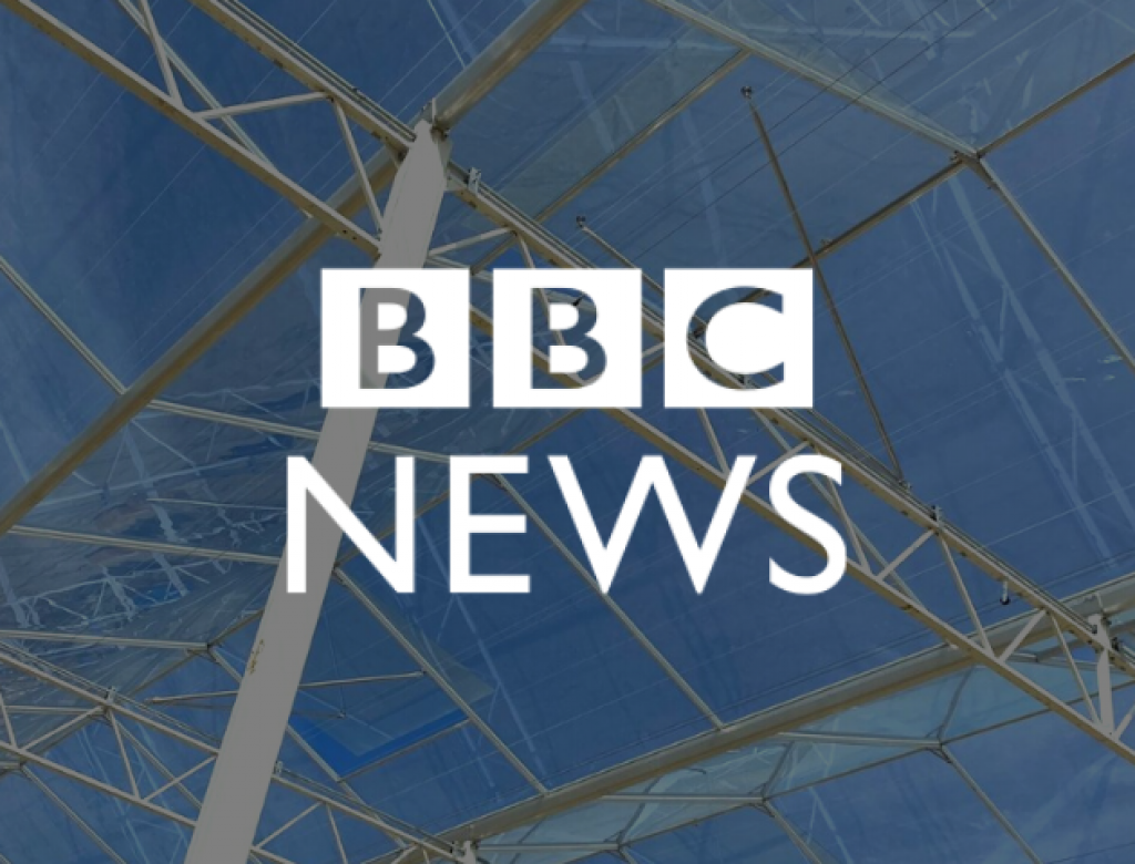 BBC click visit our greenhouses in Bury St Edmunds